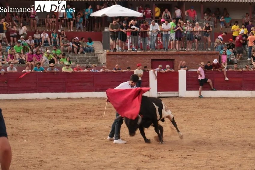 Capea del Viernes de Corpus en Vitigudino / CORRAL