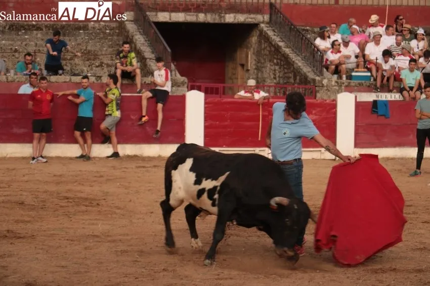 Capea del Viernes de Corpus en Vitigudino / CORRAL
