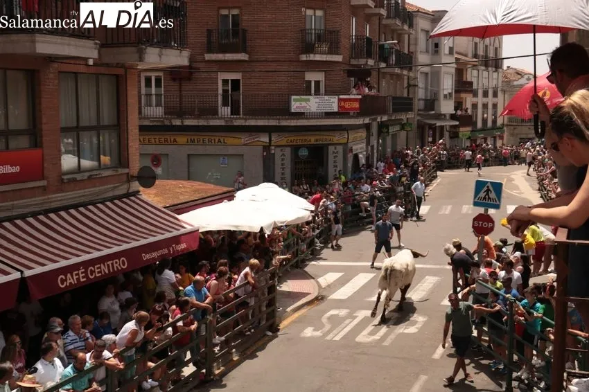 Encierro del sábado de Corpus con novillos de Ana Isabel Vicente / CORRAL
