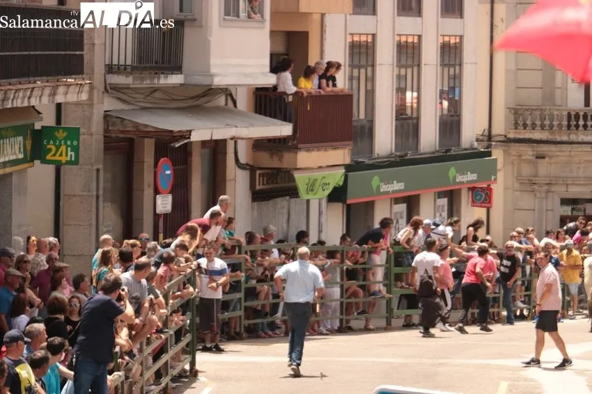 Encierro del sábado de Corpus con novillos de Ana Isabel Vicente / CORRAL
