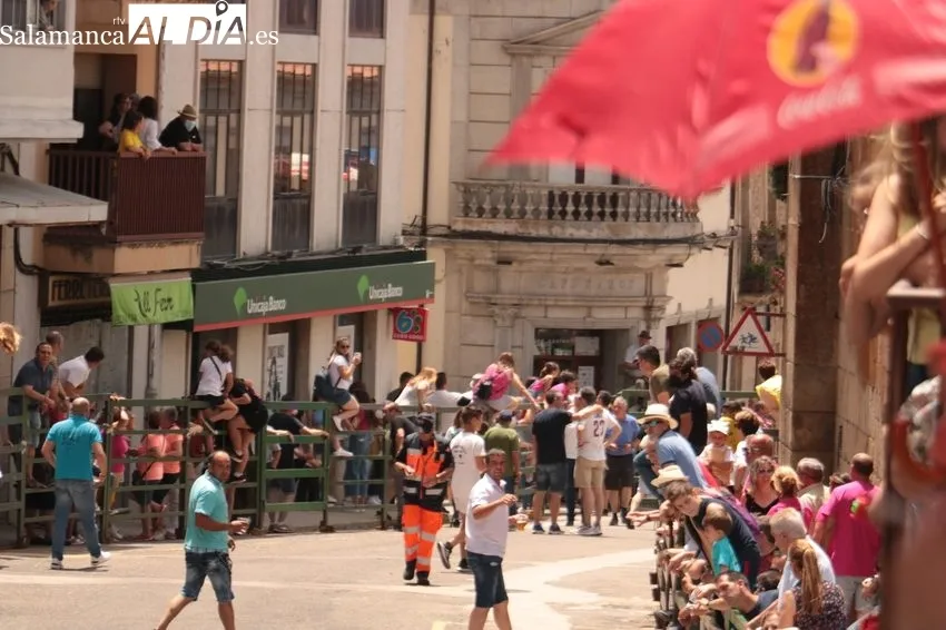 Encierro del sábado de Corpus con novillos de Ana Isabel Vicente / CORRAL