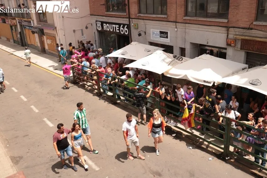 Encierro del sábado de Corpus con novillos de Ana Isabel Vicente / CORRAL