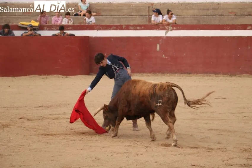 Fiesta campera en Rollanejo con alumnos de la Escuela de Tauromaquia de Salamanca / CORRAL 