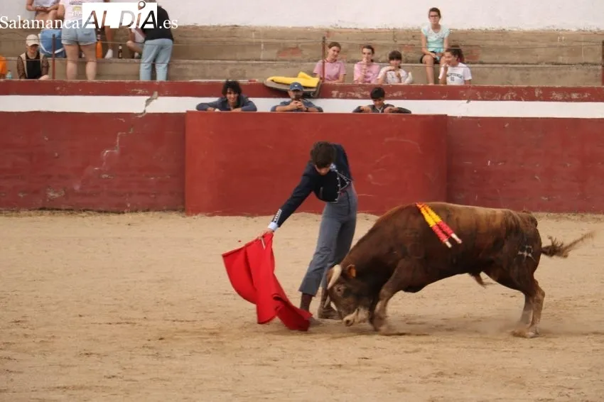 Fiesta campera en Rollanejo con alumnos de la Escuela de Tauromaquia de Salamanca / CORRAL 