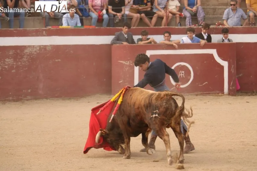 Fiesta campera en Rollanejo con alumnos de la Escuela de Tauromaquia de Salamanca / CORRAL 