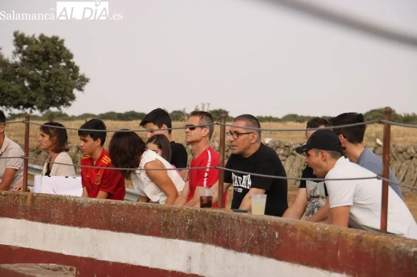 Fiesta campera en Rollanejo con alumnos de la Escuela de Tauromaquia de Salamanca / CORRAL 