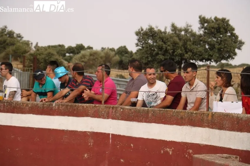 Fiesta campera en Rollanejo con alumnos de la Escuela de Tauromaquia de Salamanca / CORRAL 