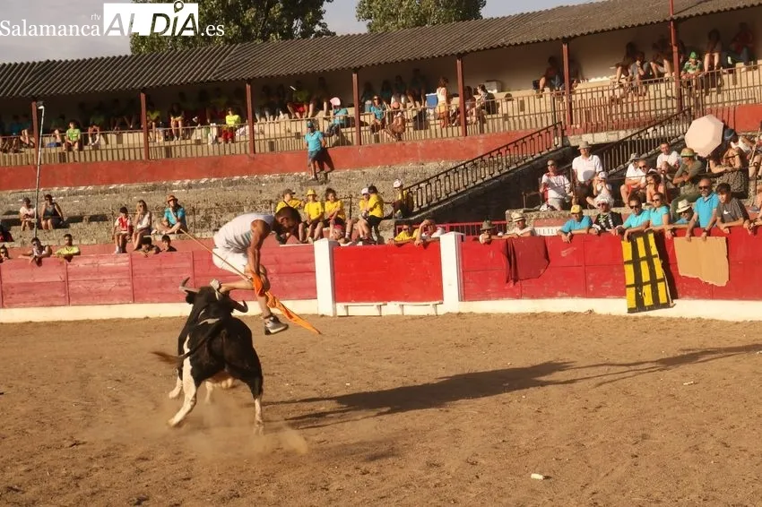 Divertida charlotada de la peña Desnivel y bonito encierro de Barcial en la capea / CORRAL