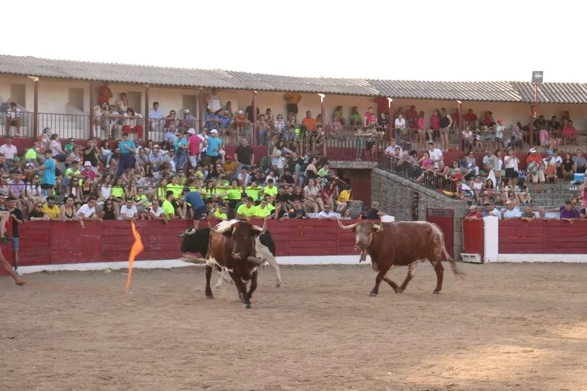 Divertida charlotada de la peña Desnivel y bonito encierro de Barcial en la capea / CORRAL
