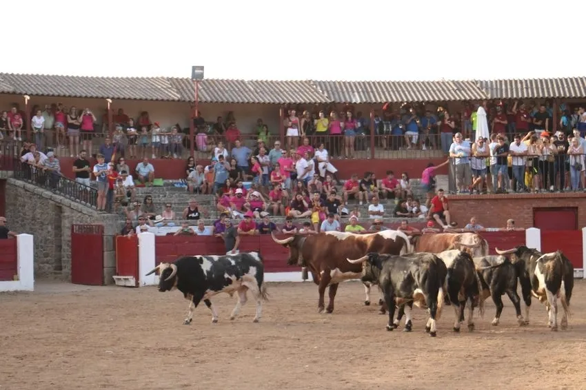 Divertida charlotada de la peña Desnivel y bonito encierro de Barcial en la capea / CORRAL