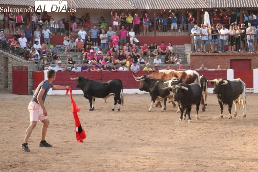Divertida charlotada de la peña Desnivel y bonito encierro de Barcial en la capea / CORRAL