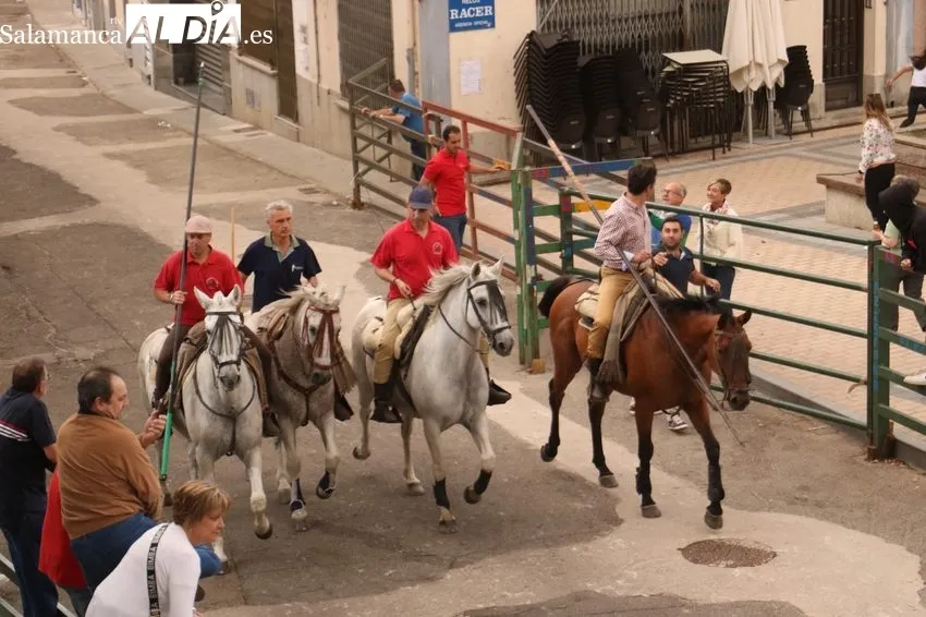 Encierro a caballo en Vitigudino / CORRAL