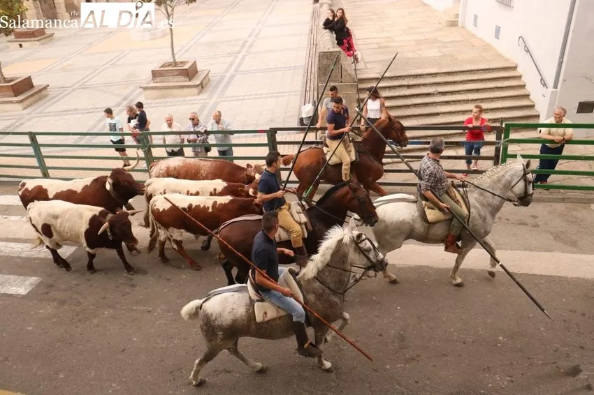 Encierro a caballo en Vitigudino / CORRAL