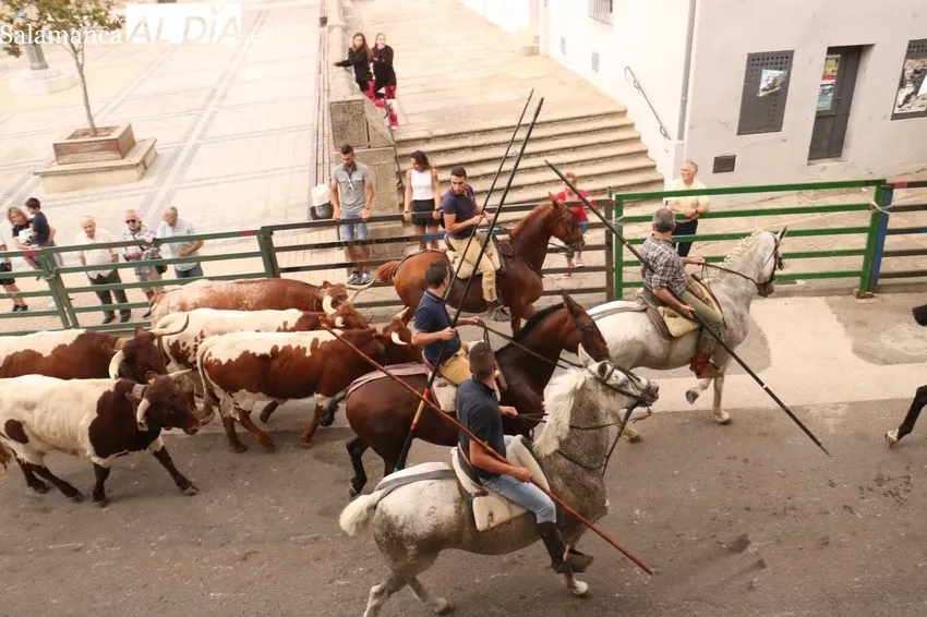 Encierro a caballo en Vitigudino / CORRAL