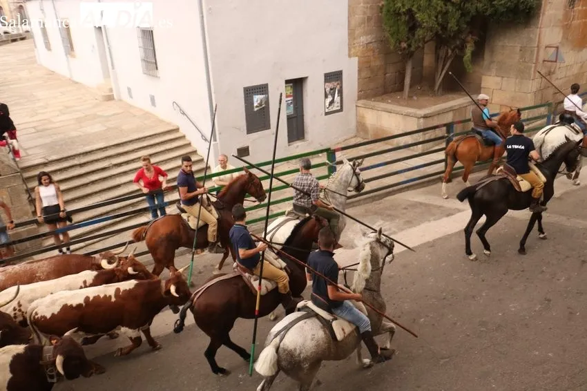 Encierro a caballo en Vitigudino / CORRAL