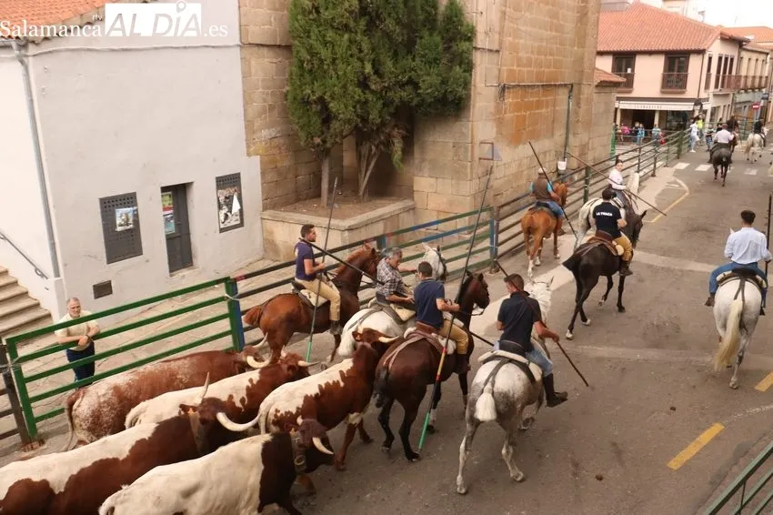 Encierro a caballo en Vitigudino / CORRAL