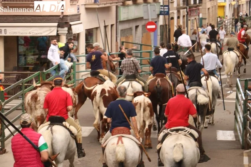 Encierro a caballo en Vitigudino / CORRAL