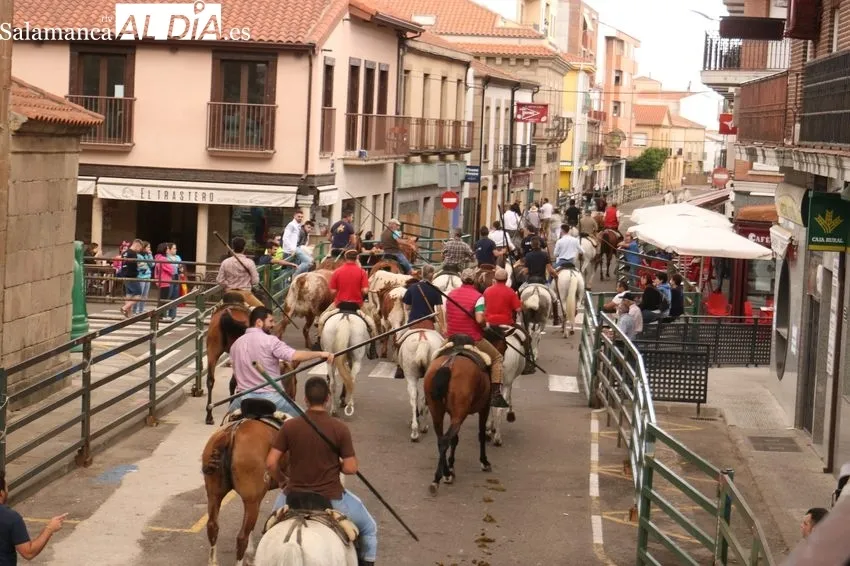Encierro a caballo en Vitigudino / CORRAL