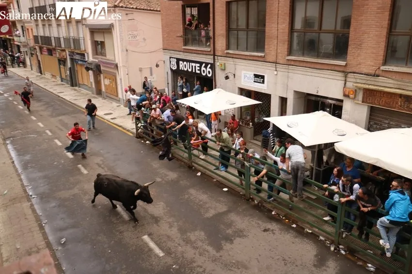 Toro fin de Corpus en Vitigudino / CORRAL