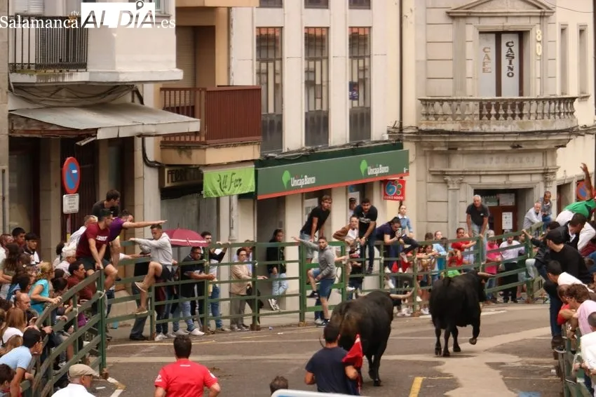 Toro fin de Corpus en Vitigudino / CORRAL