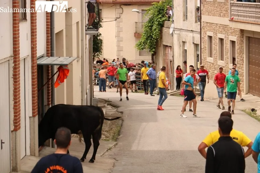 Encierro del Toro de Cajón de Hinojosa de Duero 