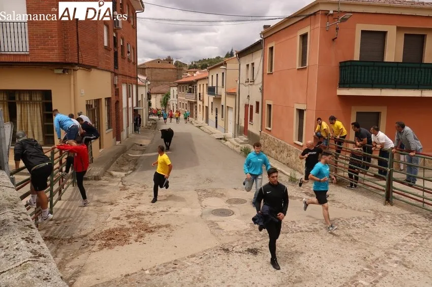 Encierro del Toro de Cajón de Hinojosa de Duero 