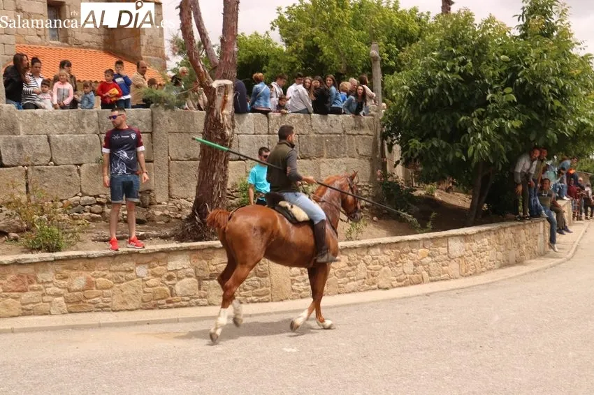 Emocionante encierro a caballo con novillos de Dionisio Rodríguez / CORRAL