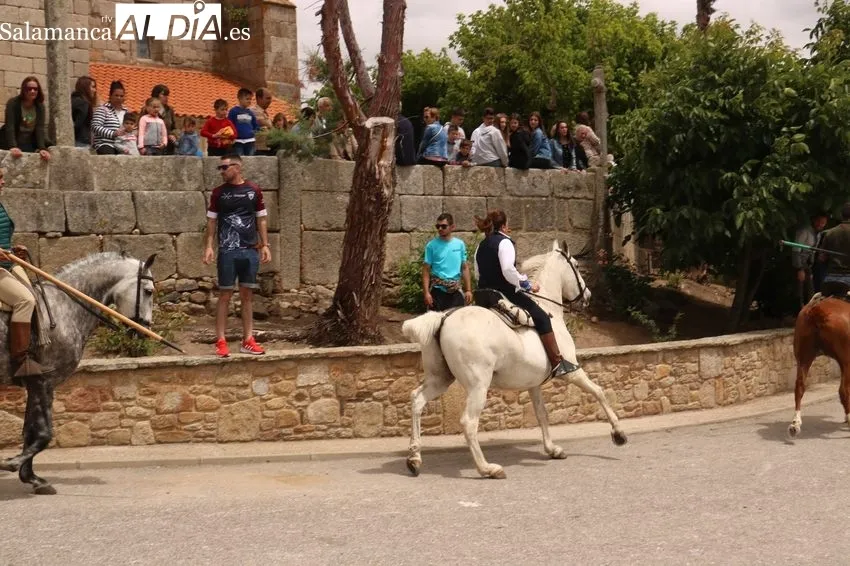 Emocionante encierro a caballo con novillos de Dionisio Rodríguez / CORRAL