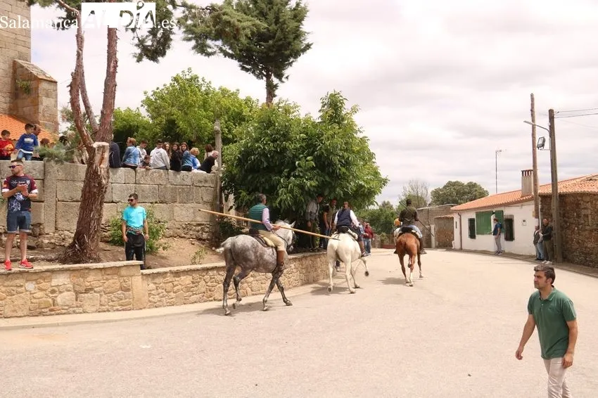 Emocionante encierro a caballo con novillos de Dionisio Rodríguez / CORRAL