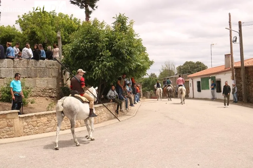 Emocionante encierro a caballo con novillos de Dionisio Rodríguez / CORRAL