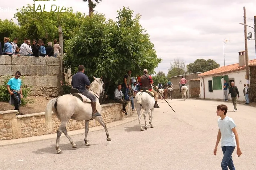 Emocionante encierro a caballo con novillos de Dionisio Rodríguez / CORRAL