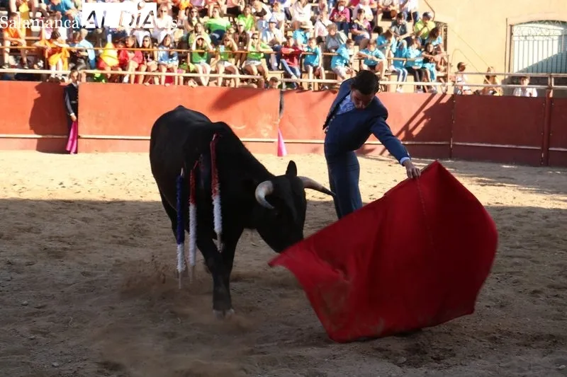 Festival taurino con Damián Castaño y Manuel Tabernero en Hinojosa de Duero / CORRAL 
