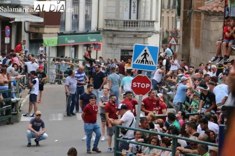 VI Toro de Cajón del pre-Corpus en Vitigudino / CORRAL