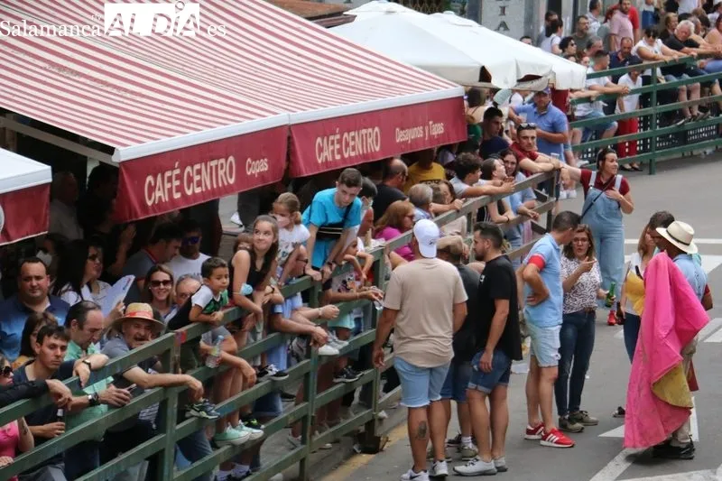 VI Toro de Cajón del pre-Corpus en Vitigudino / CORRAL