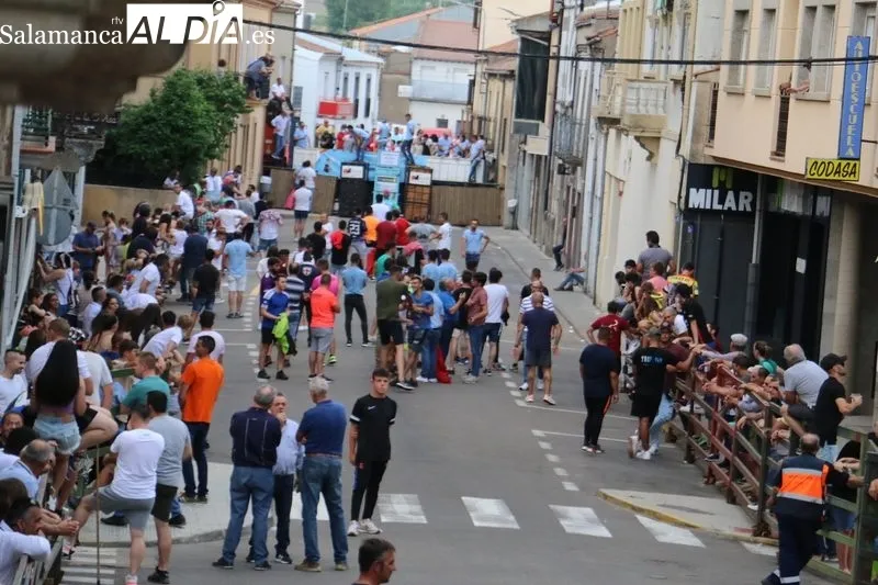 VI Toro de Cajón del pre-Corpus en Vitigudino / CORRAL