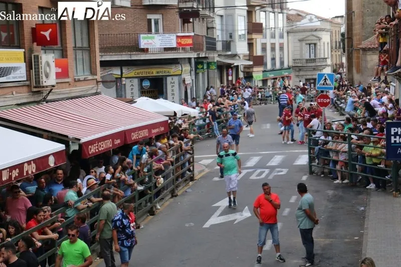 VI Toro de Cajón del pre-Corpus en Vitigudino / CORRAL