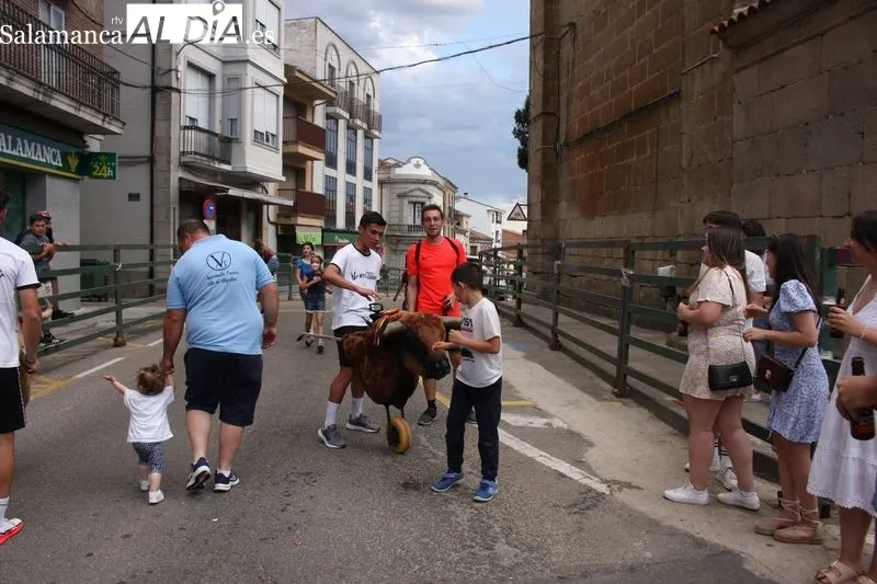 El encierro de carretones llenó de alegría las calles de Vitigudino 