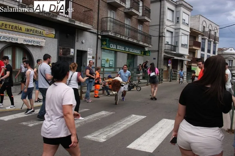 El encierro de carretones llenó de alegría las calles de Vitigudino 