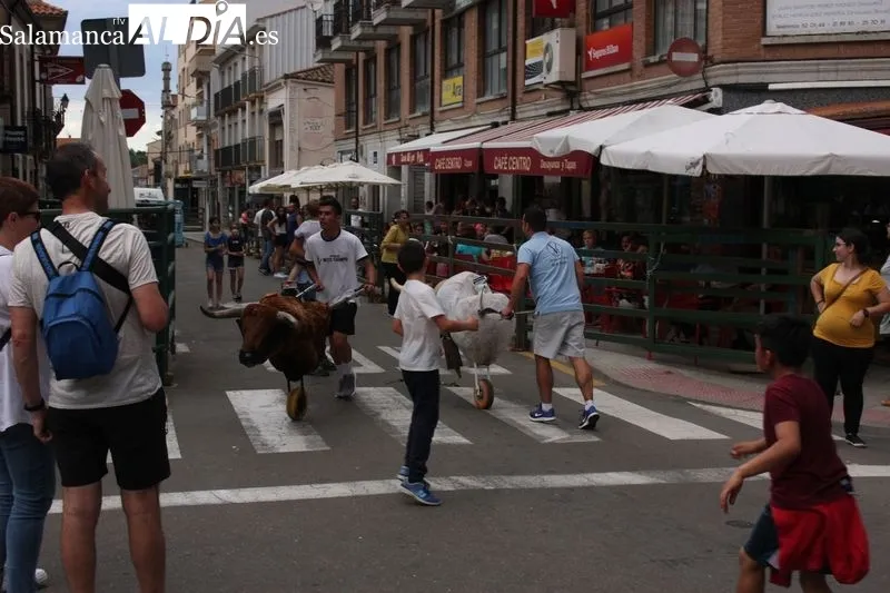 El encierro de carretones llenó de alegría las calles de Vitigudino 