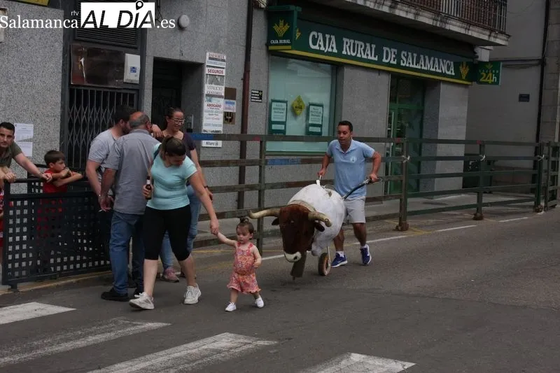 El encierro de carretones llenó de alegría las calles de Vitigudino 