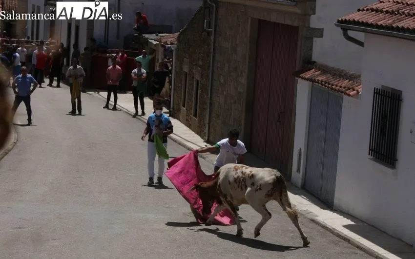 Encierro urbano en Bogajo sin incidentes 