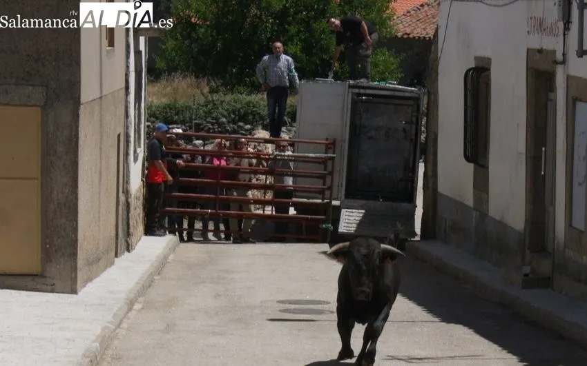 Encierro urbano en Bogajo sin incidentes 