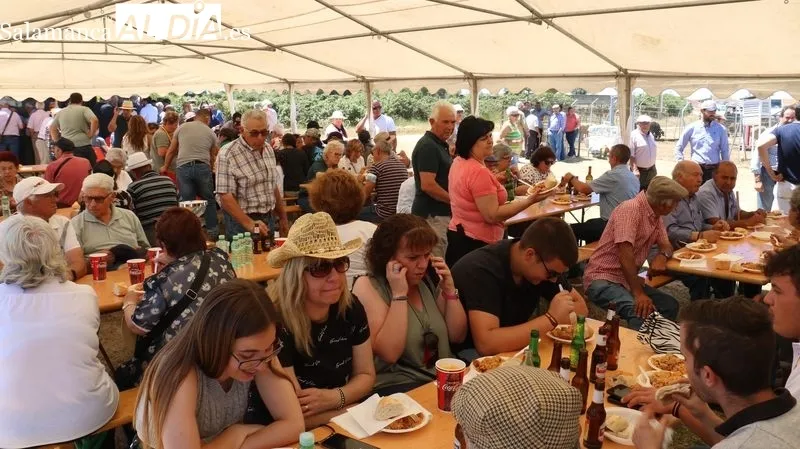 Feria ganadera de Bañobárez / CORRAL
