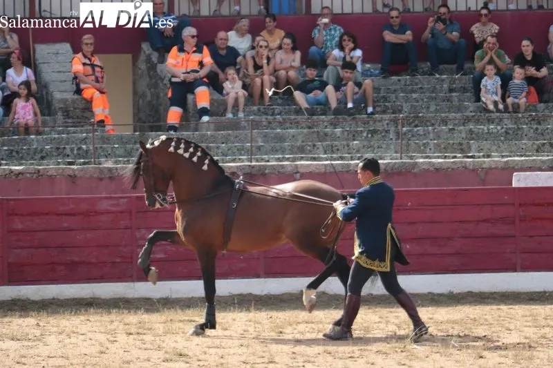 Espectáculo Dueden Ecuestre 'Cómo bailan los caballos españoles' en Vitigudino / CORRAL
