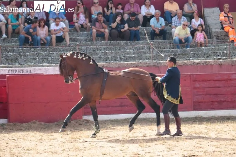 Espectáculo Dueden Ecuestre 'Cómo bailan los caballos españoles' en Vitigudino / CORRAL