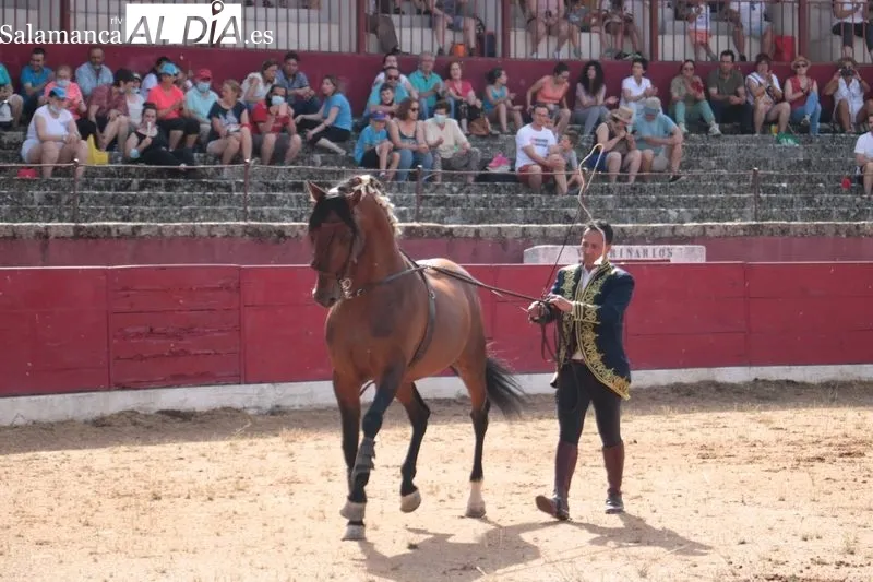 Espectáculo Dueden Ecuestre 'Cómo bailan los caballos españoles' en Vitigudino / CORRAL