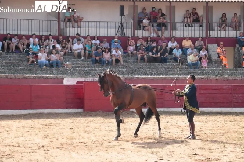 Espectáculo Dueden Ecuestre 'Cómo bailan los caballos españoles' en Vitigudino / CORRAL