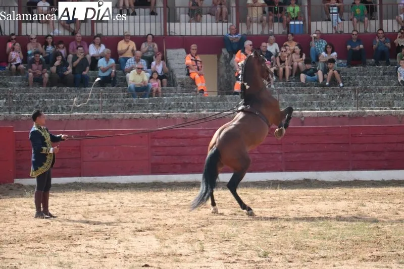 Espectáculo Dueden Ecuestre 'Cómo bailan los caballos españoles' en Vitigudino / CORRAL