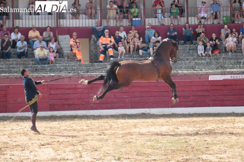 Espectáculo Dueden Ecuestre 'Cómo bailan los caballos españoles' en Vitigudino / CORRAL