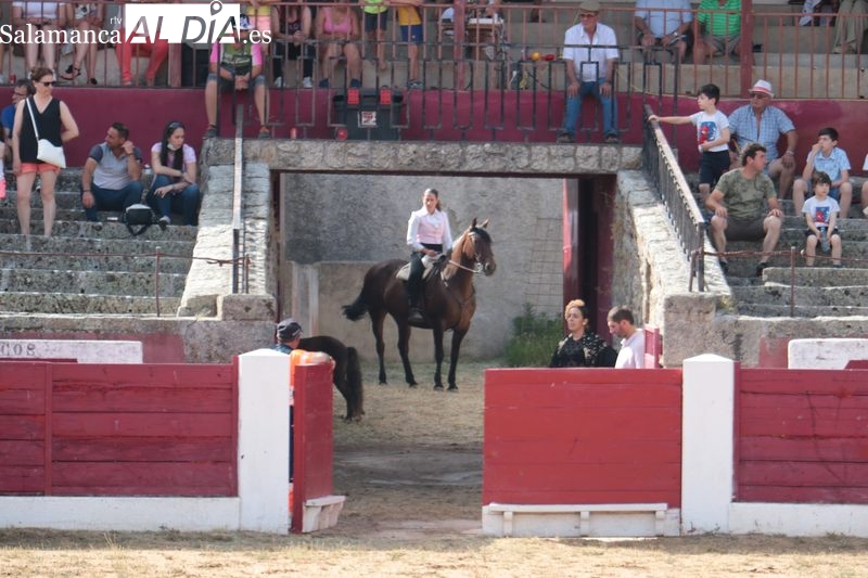 Espectáculo Dueden Ecuestre 'Cómo bailan los caballos españoles' en Vitigudino / CORRAL